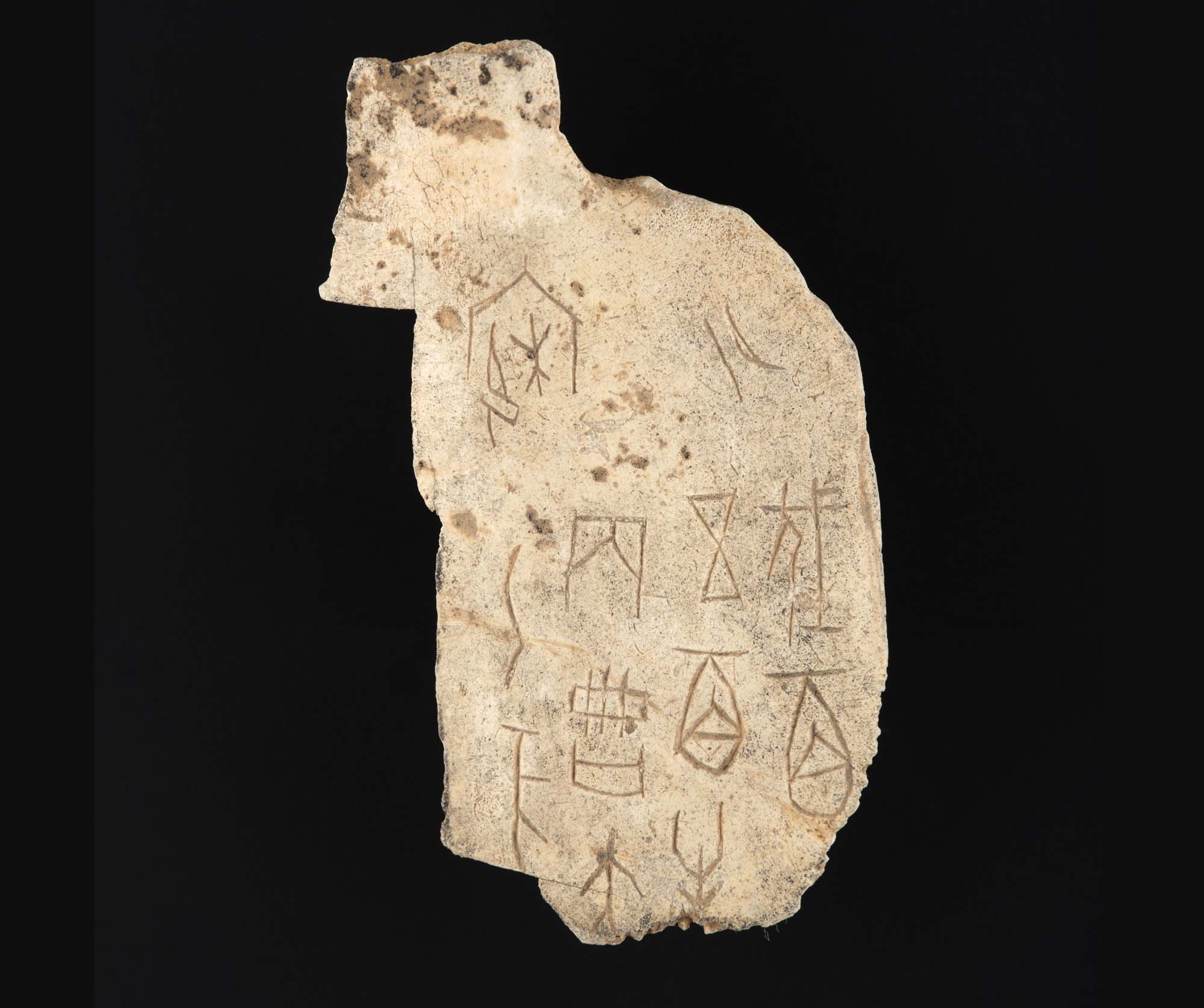 Oracle-bone-records-sacrificial-offering-of-500-oxen-before-a-military-attack.-Ox-scapula-or-tortoise-plastron-Yinxu-site-Anyang-Henan-Province-China-late-Shang-dynasty-c1200–1050-BC